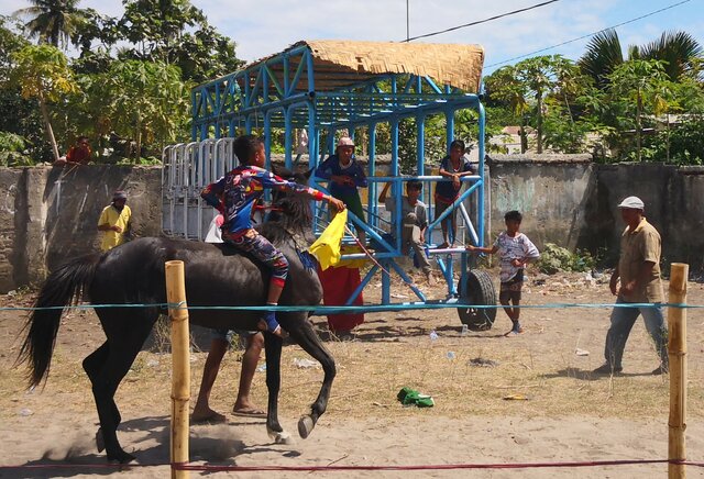 Sumba Waingapu les jockeys